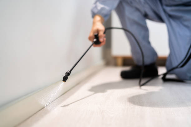 Certified termite inspector examining foundation in Boalsburg